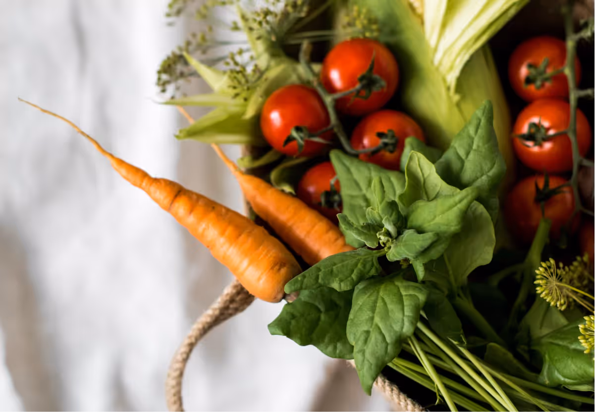fresh tomatoes and carrots