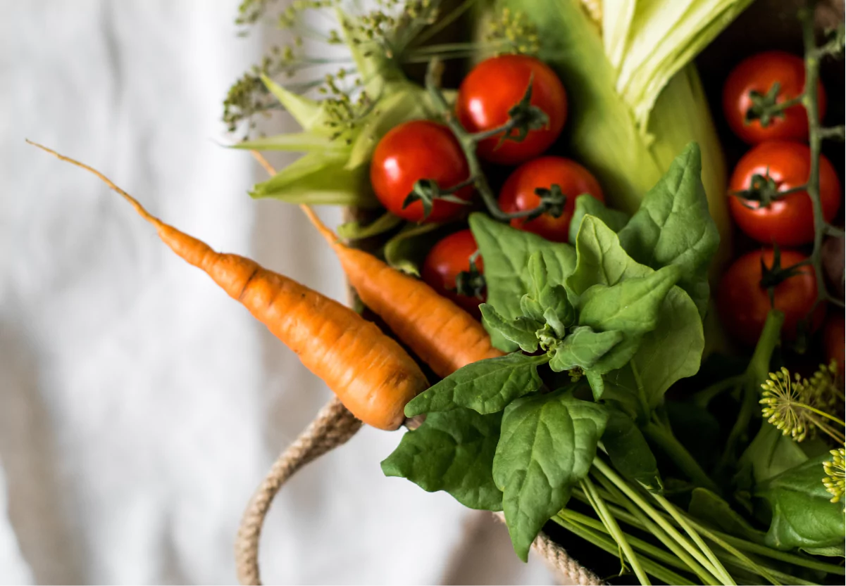 fresh tomatoes and carrots