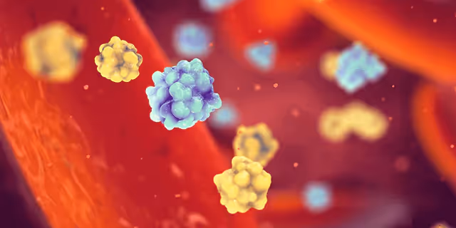 blood under a microscope