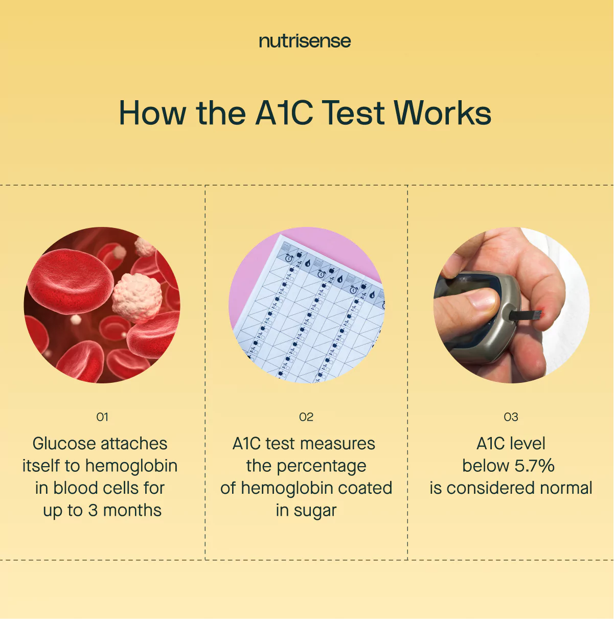 how a1c test works graphic