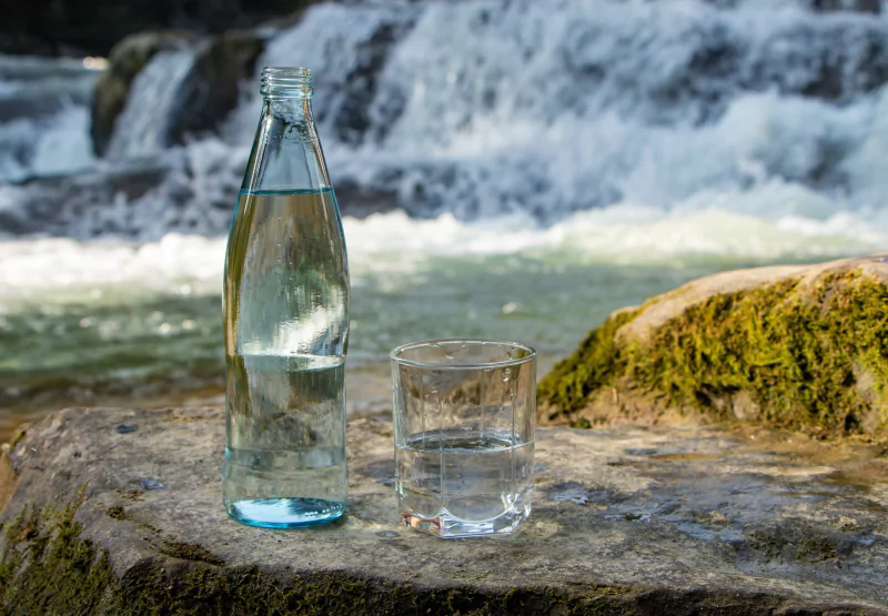 a bottle and a glass of spring water