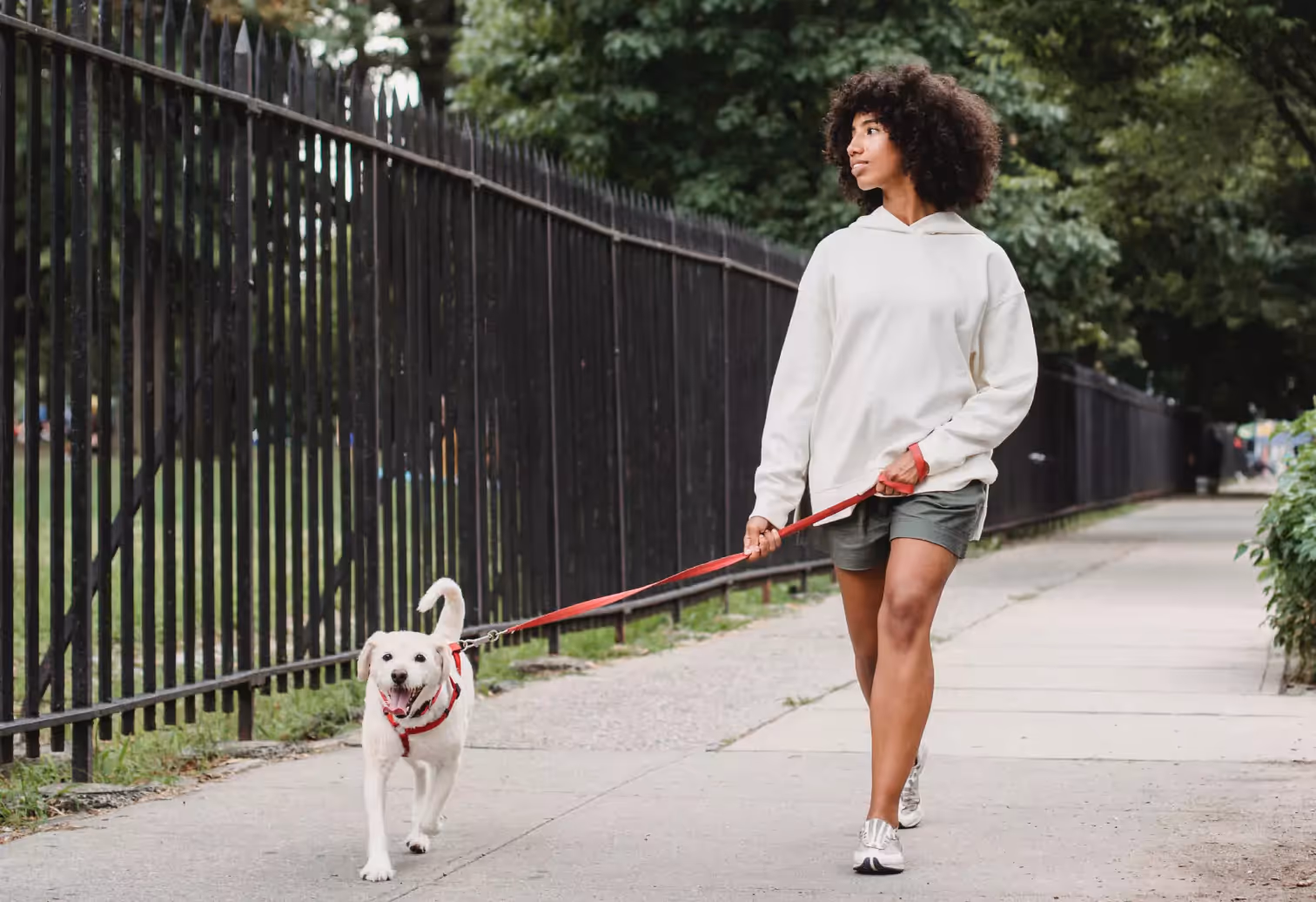 a person walking a dog