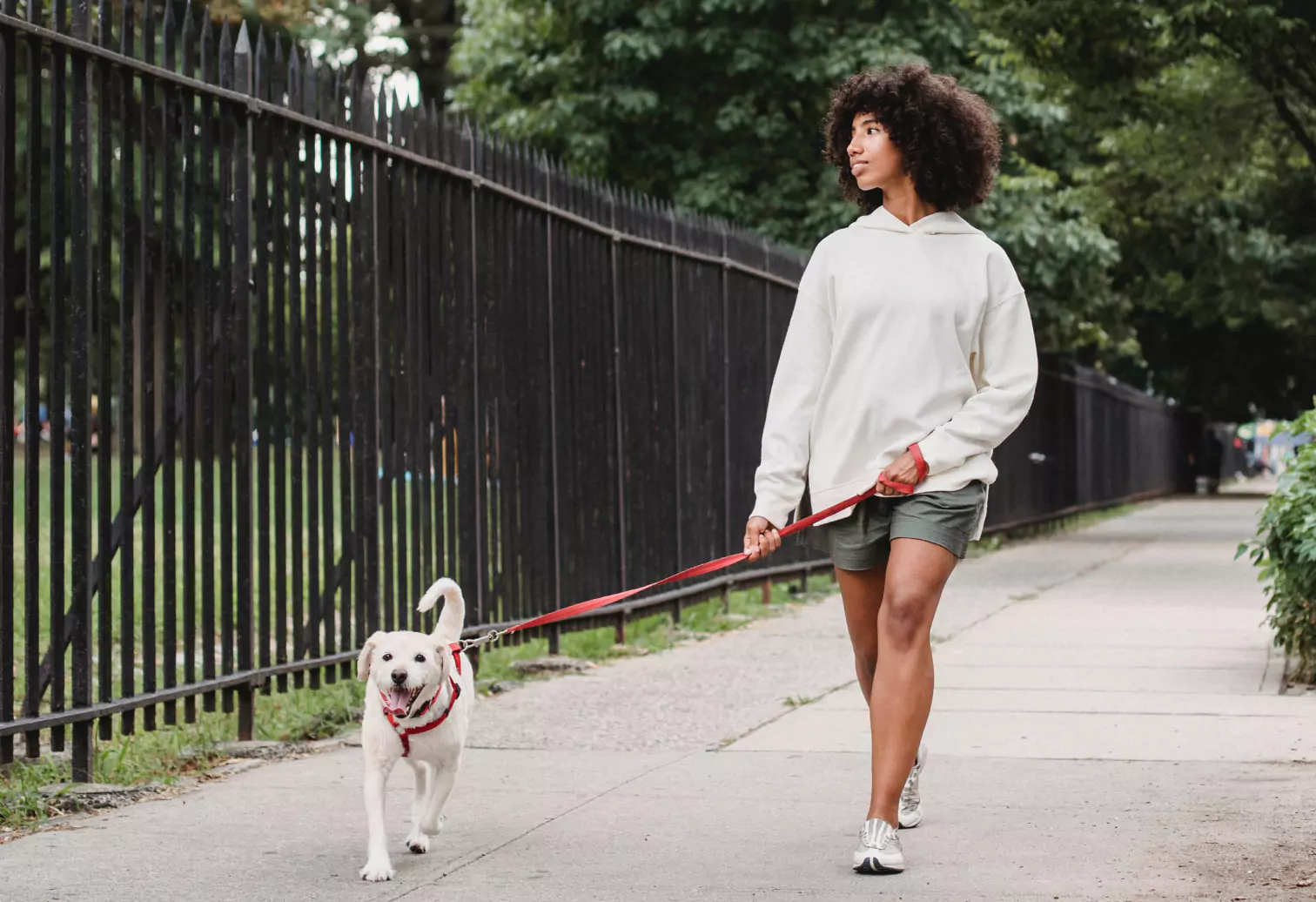 a person walking a dog