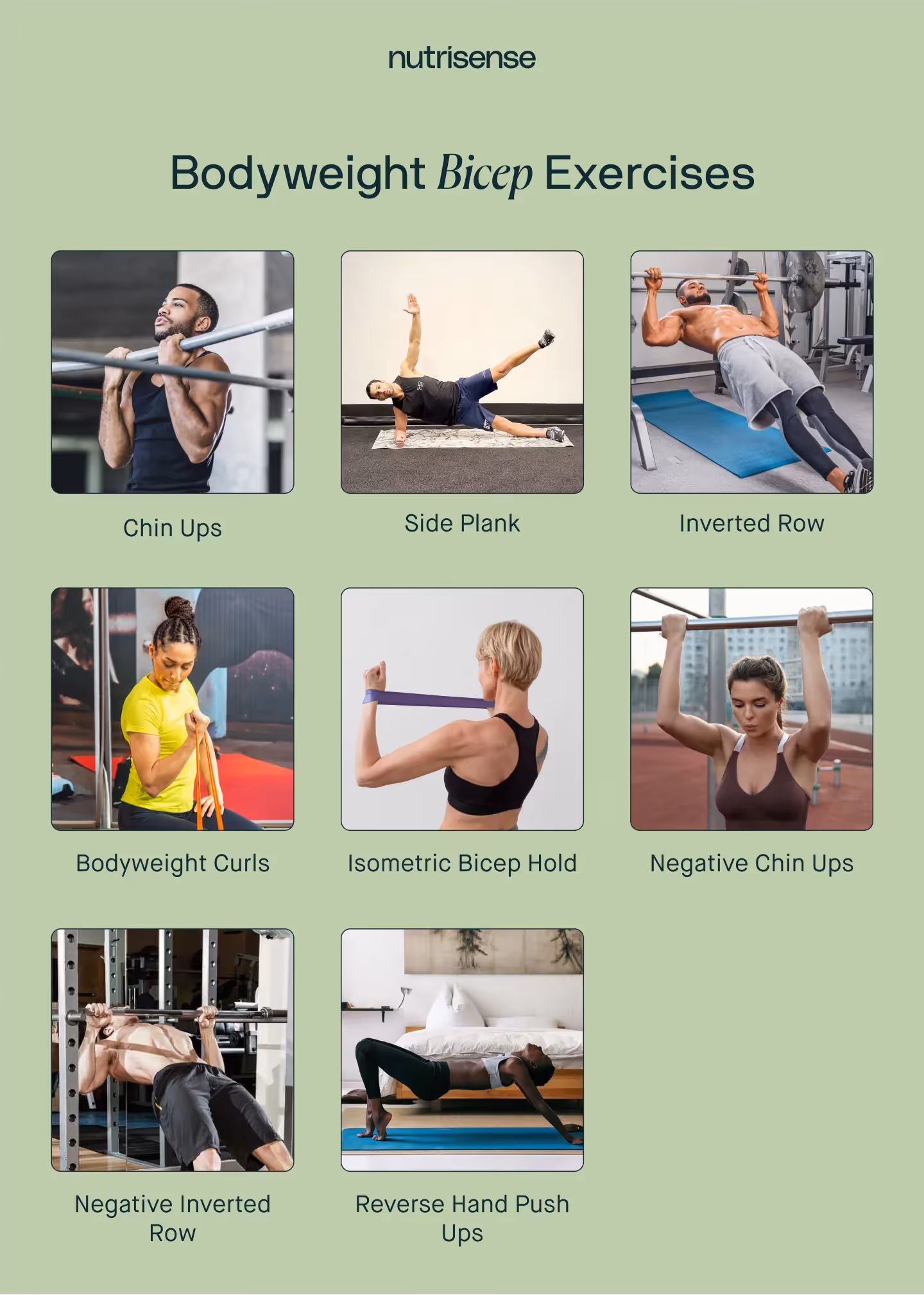 photos of bodyweight bicep exercises