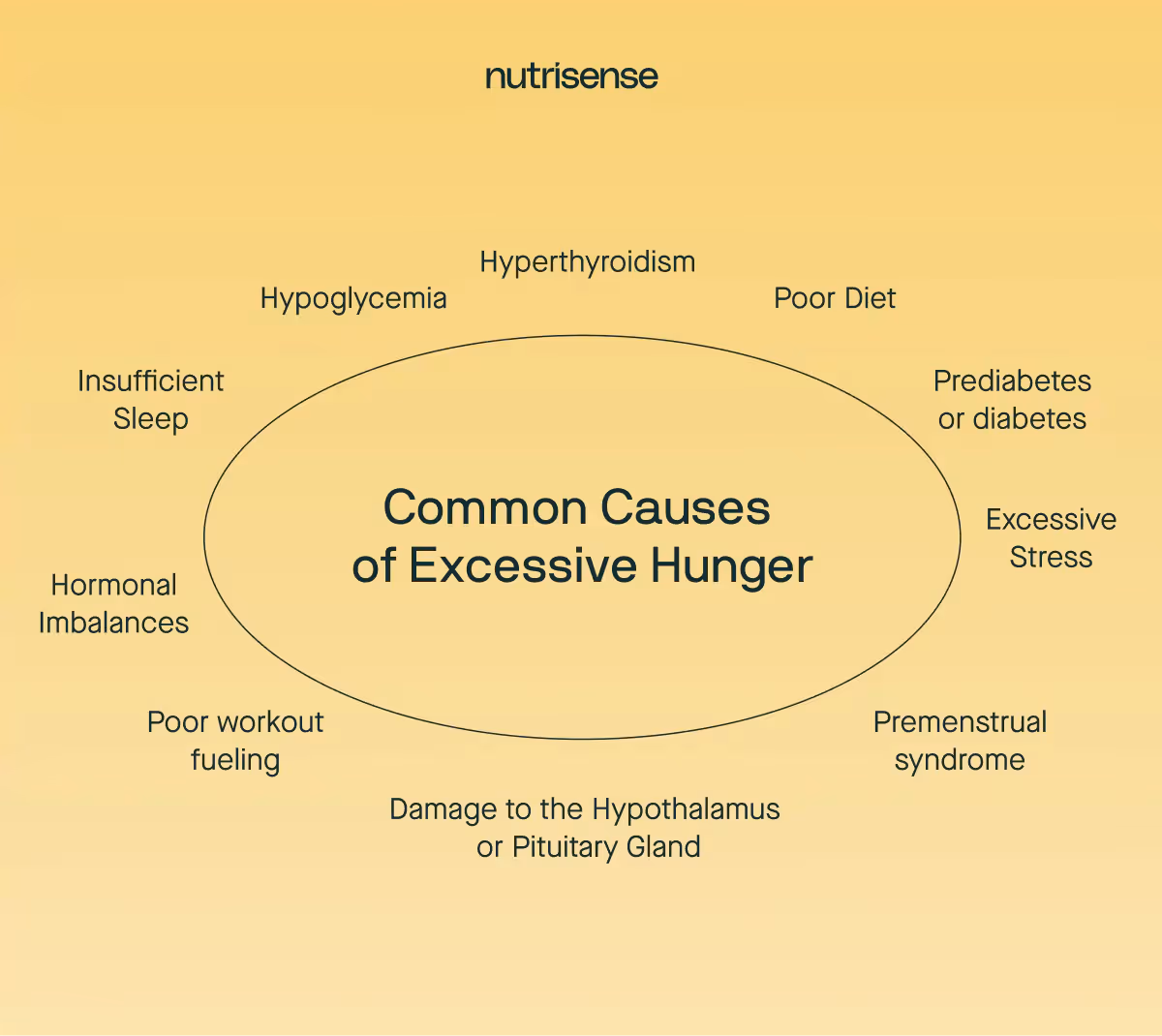 common causes of excessive hunger