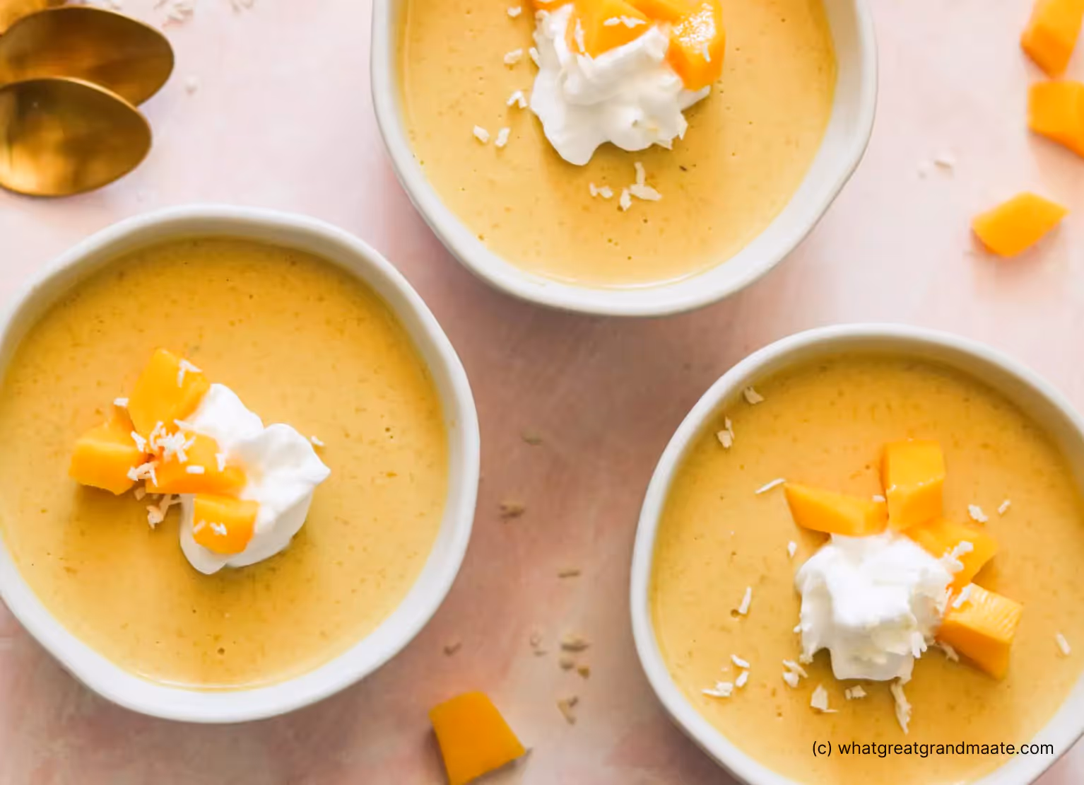 Paleo Mango Pudding