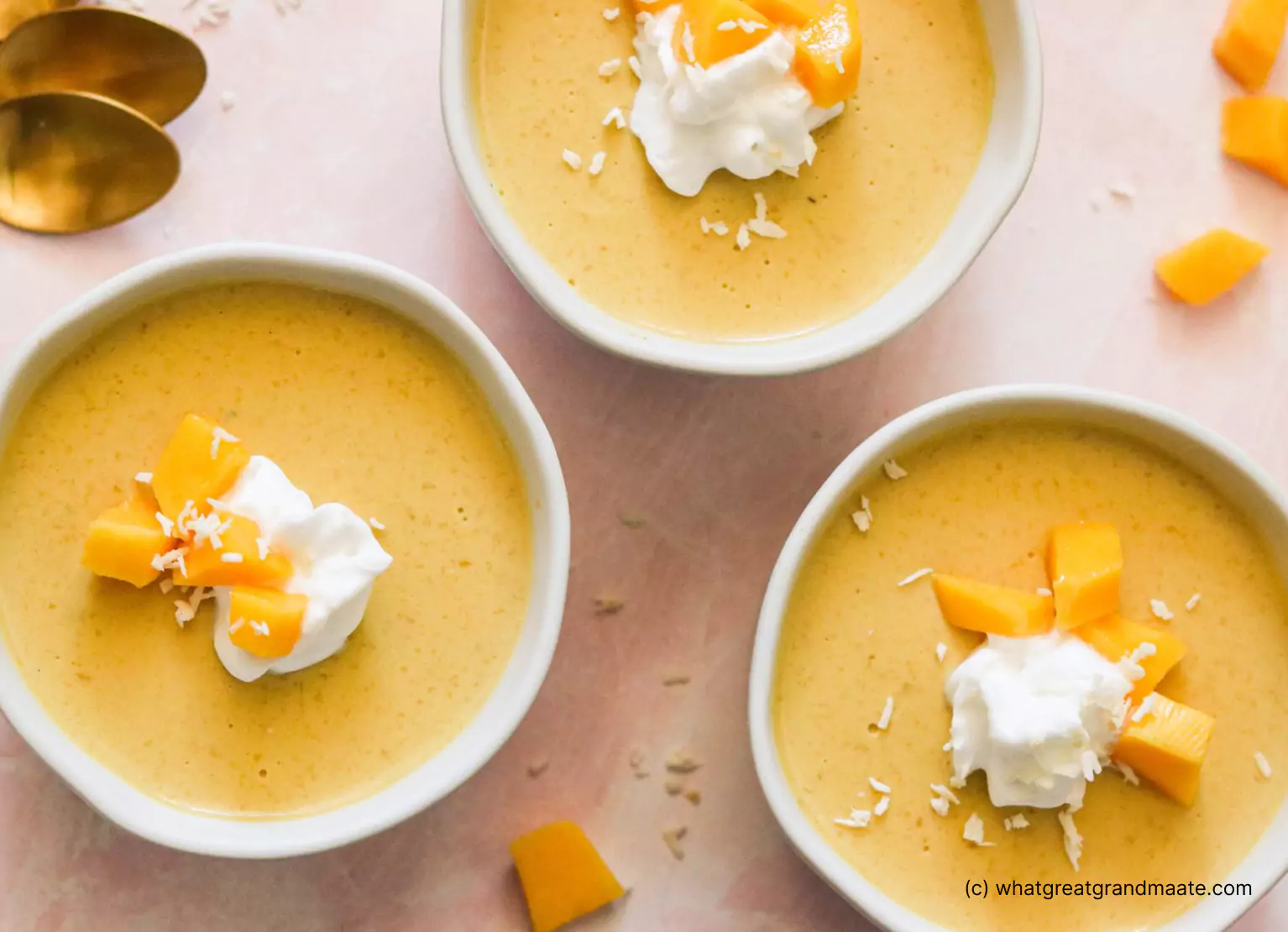 Paleo Mango Pudding
