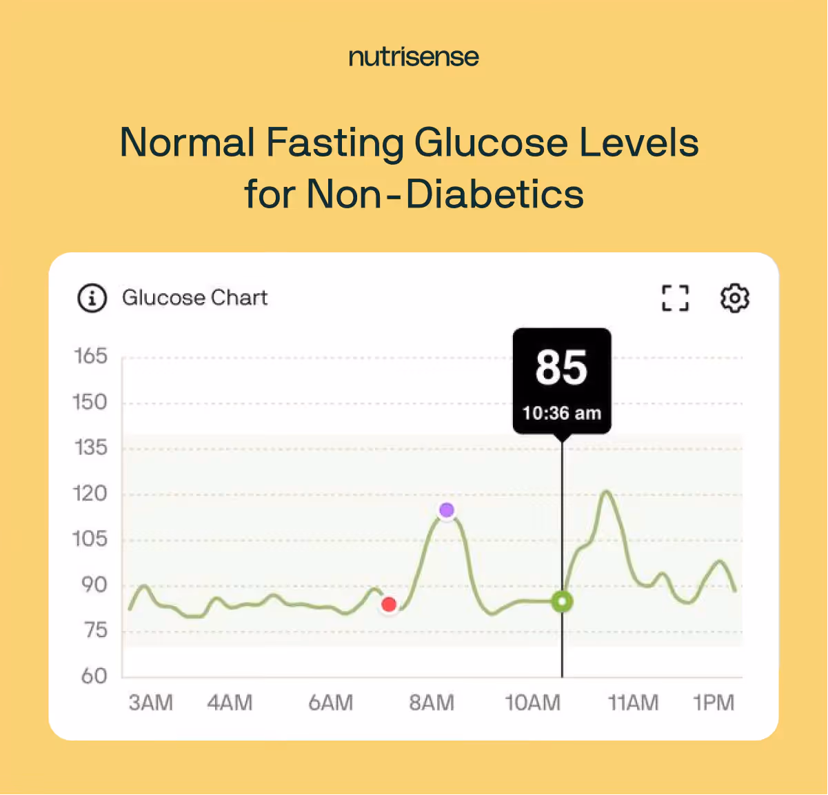 a glucose curve in the Nutrisense app