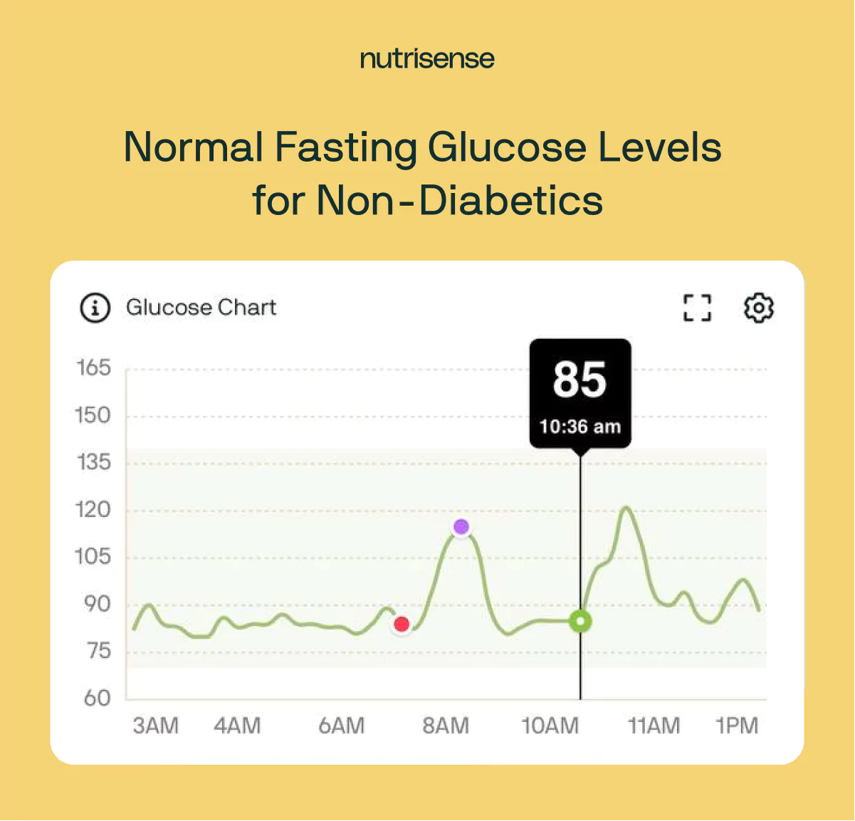 a glucose curve in the Nutrisense app