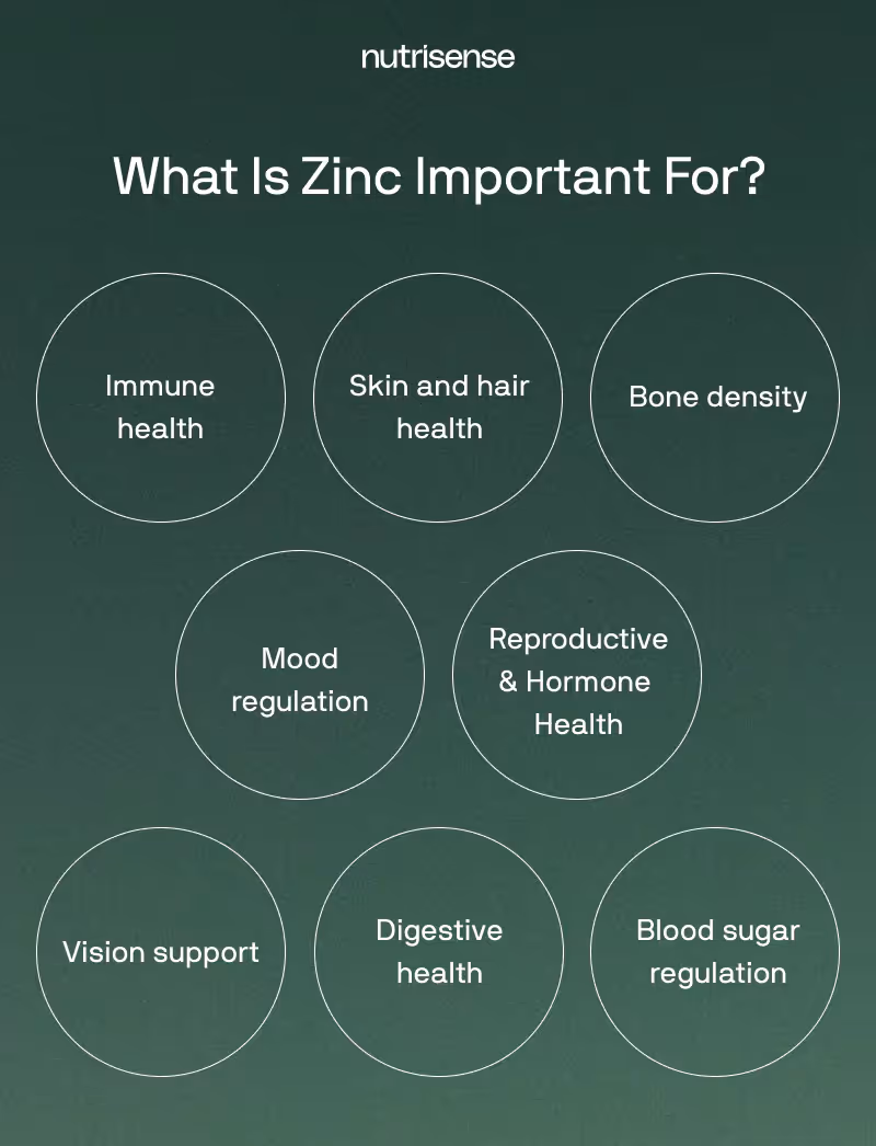 why is zinc important health benefits