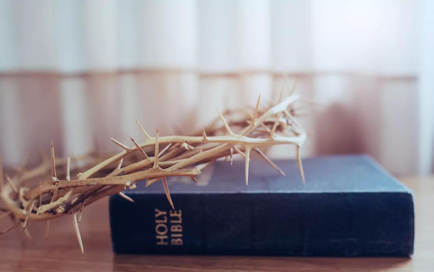 Crown of Thorns on Bible