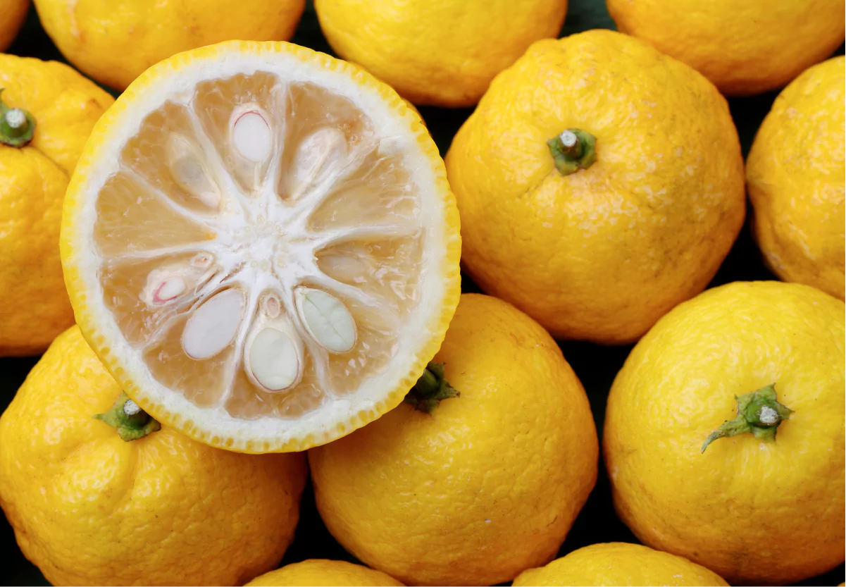several yuzu fruits and one sliced open
