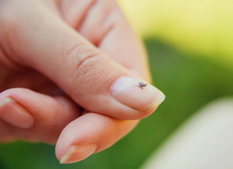 someone with a tick on their finger