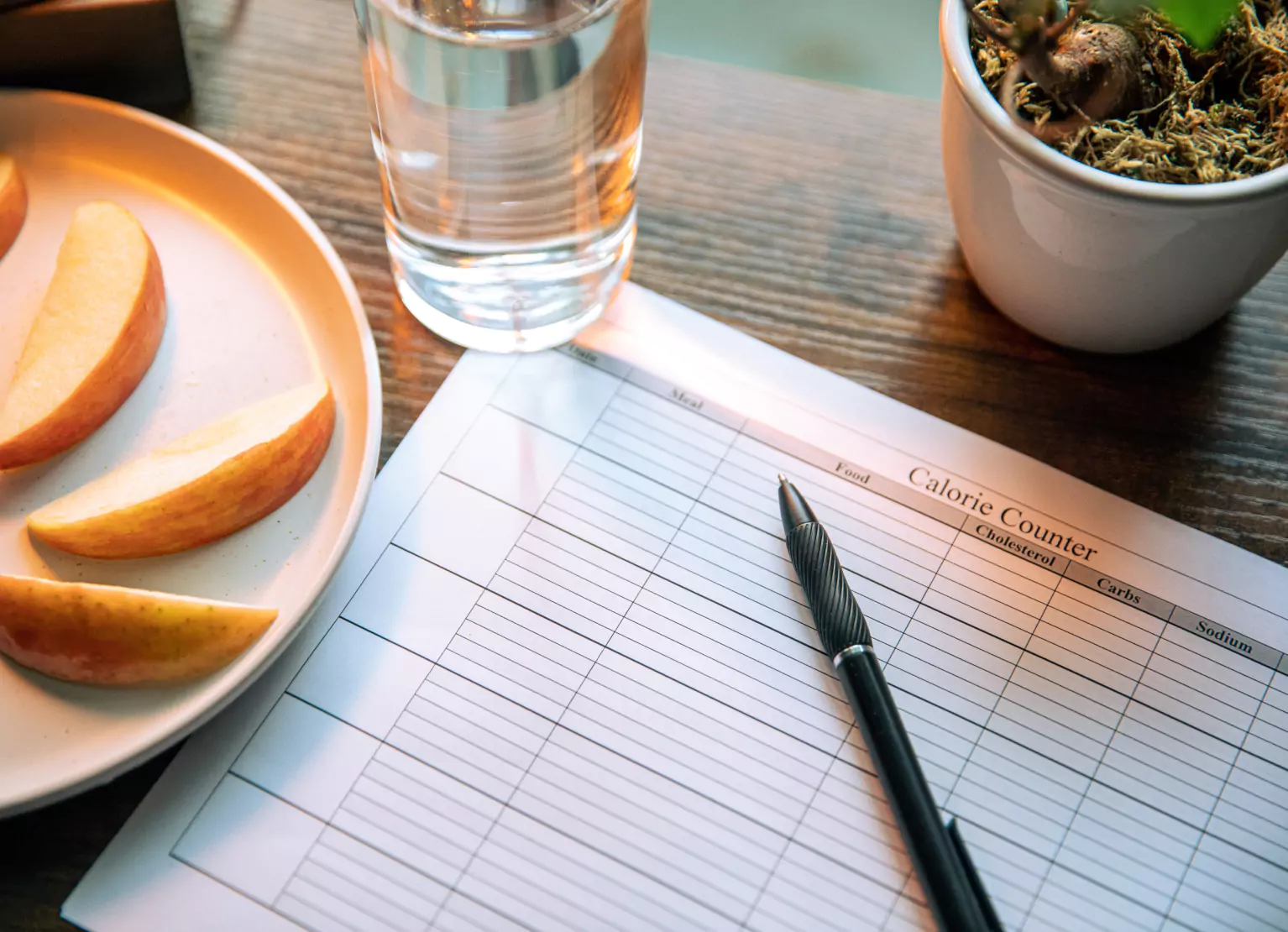 tracking calories in a notebook