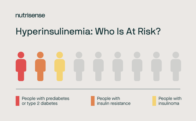 a graphic showing who is at risk for hyperinsulinemia
